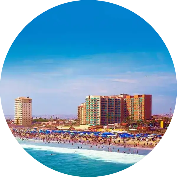 /cms/sites/default/files/2024-11/TIJ-tijuana-circular-opt.webp